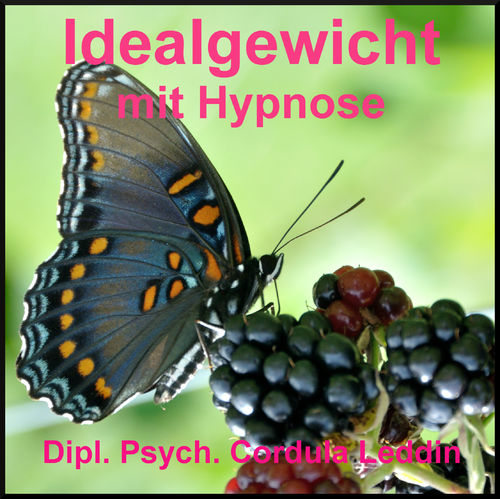 Idealgewicht mit Hypnose